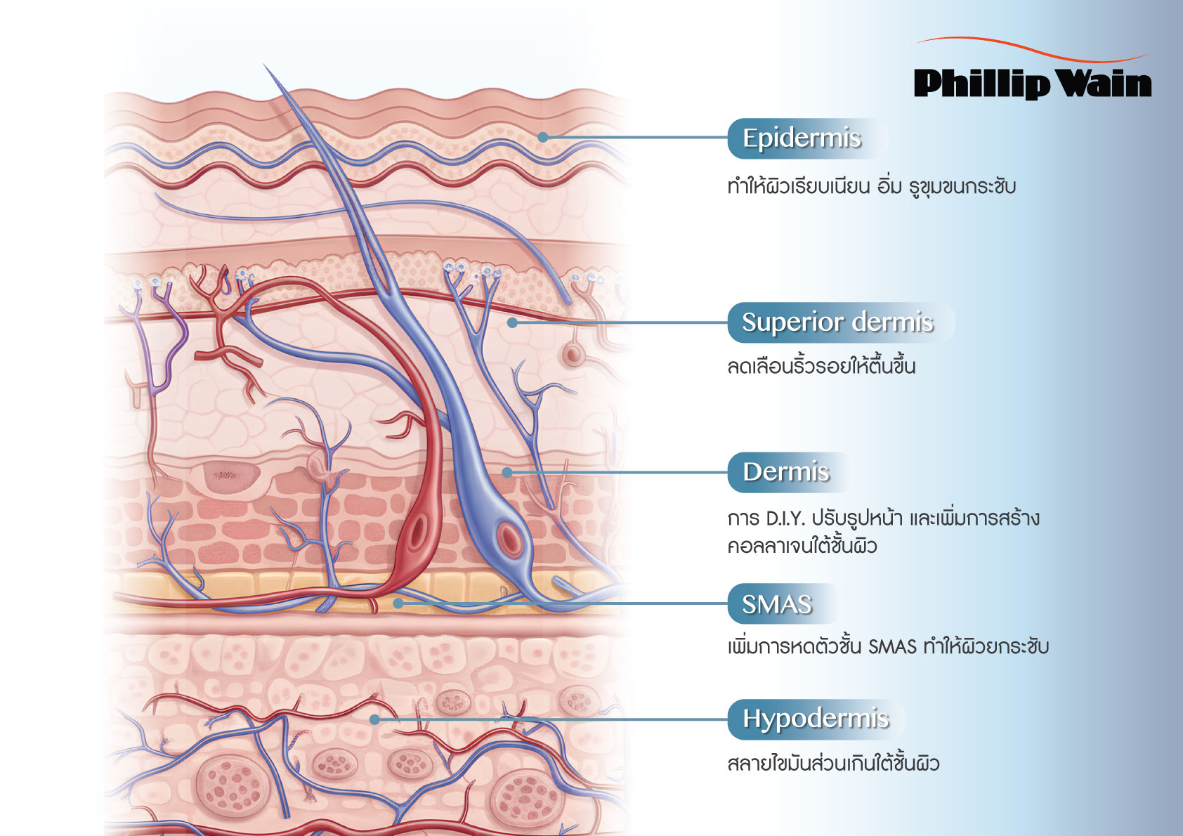 ULTRA-REFORM-sale-kit-3