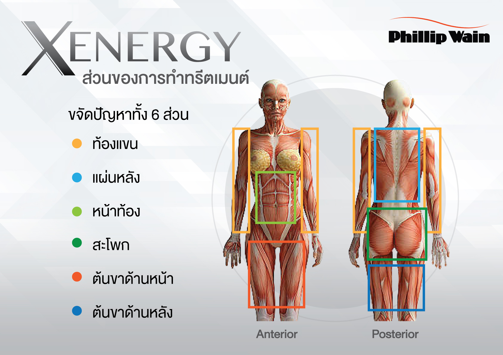 X-Energy-sale-kit-4